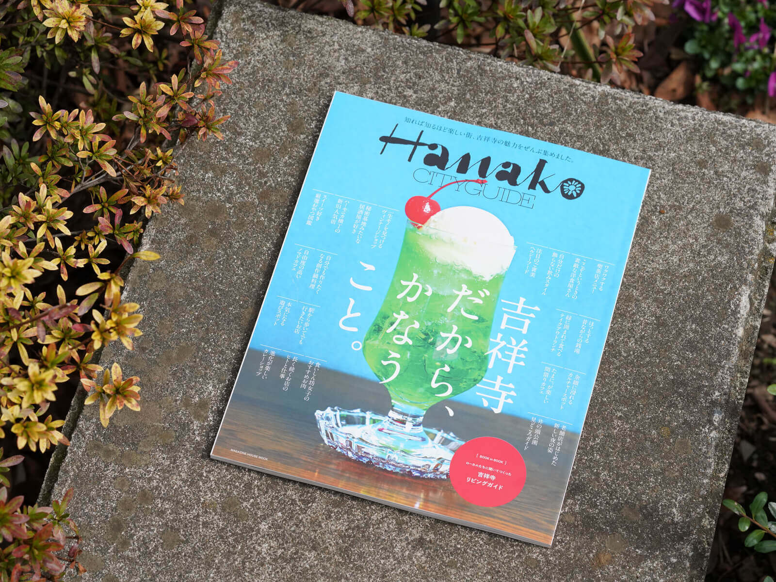  _743_https://staging.eguchi-store.jp/test01/_BK/wp-content/uploads/200305hanako-01.jpg