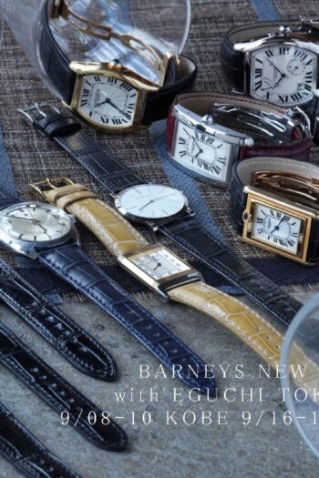 barneys-1