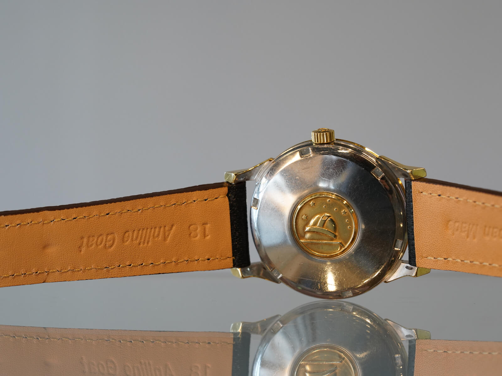 Demo Item 5 Title