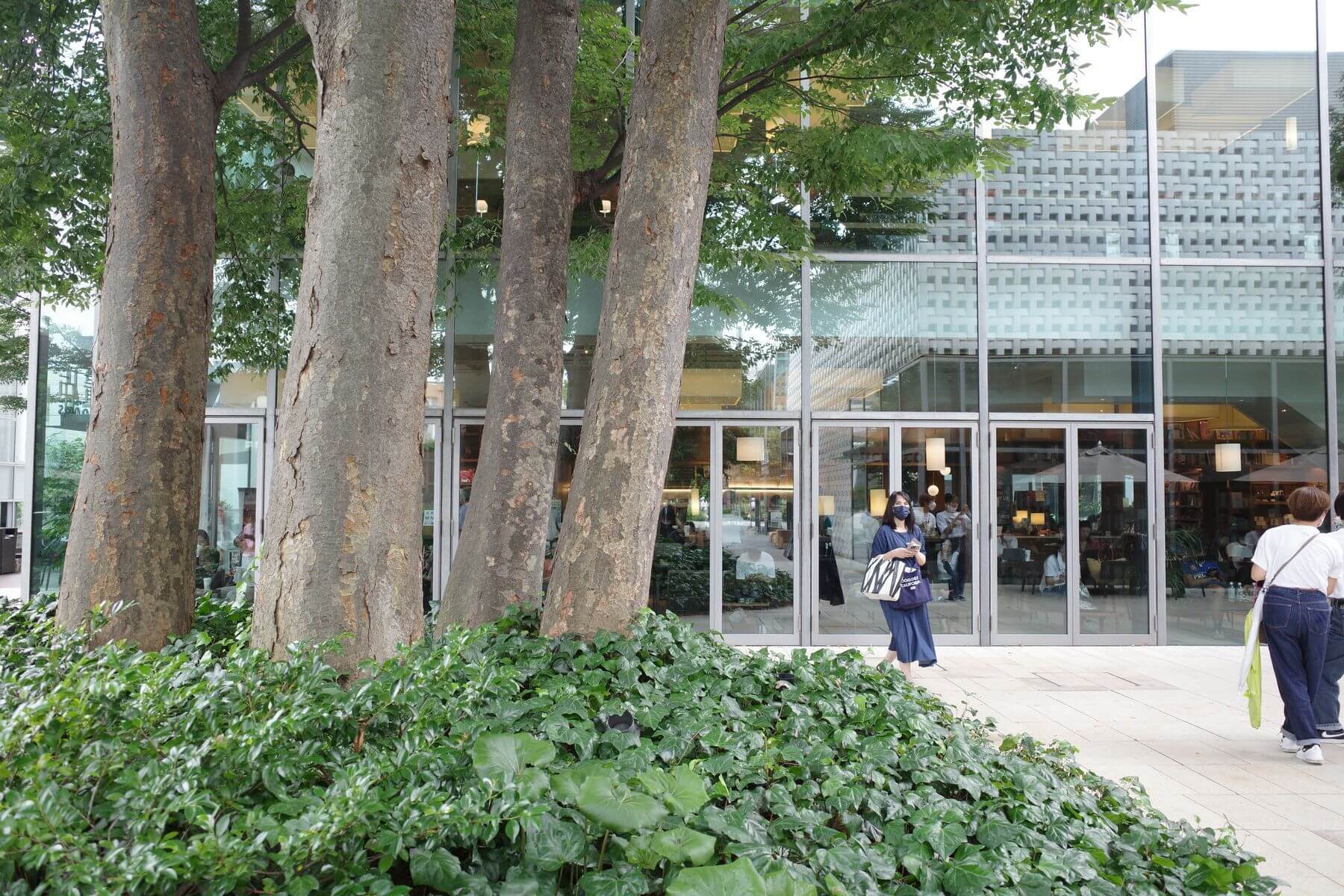 _296_https://staging.eguchi-store.jp/test01/eguchiwp/wp-content/uploads/tsutaya-08.jpg