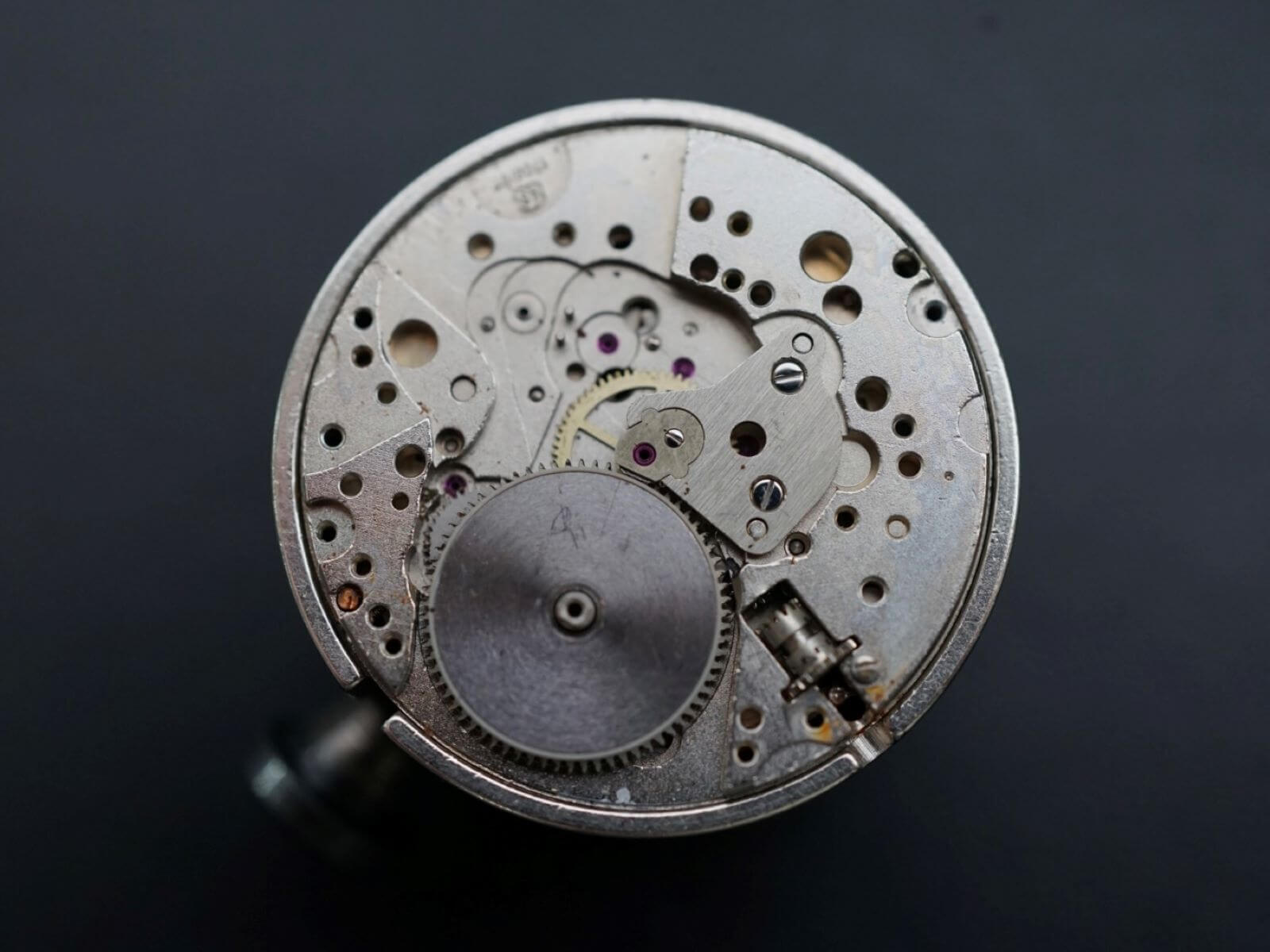 _332_https://staging.eguchi-store.jp/test02/eguchiwp/wp-content/uploads/DSC03784-1.jpg