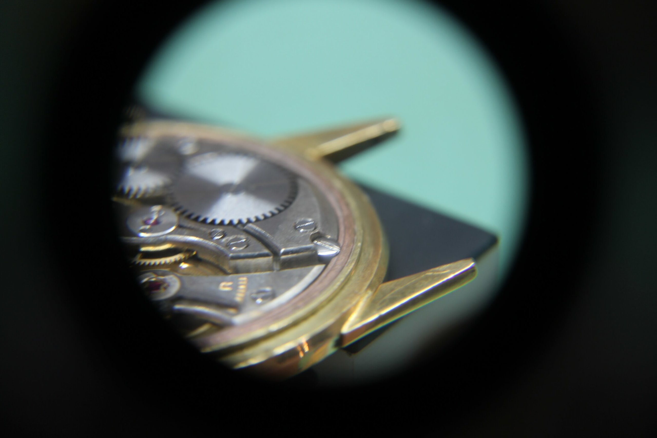  _639_https://staging.eguchi-store.jp/test02/_BK/wp-content/uploads/IMG_7689-scaled.jpeg