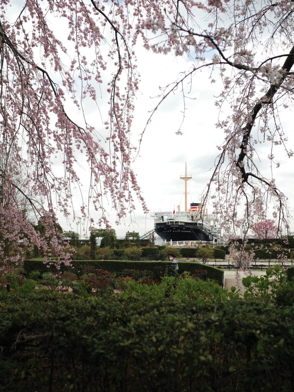  _706_https://staging.eguchi-store.jp/test02/eguchiwp/wp-content/uploads/R0005858-02.jpg