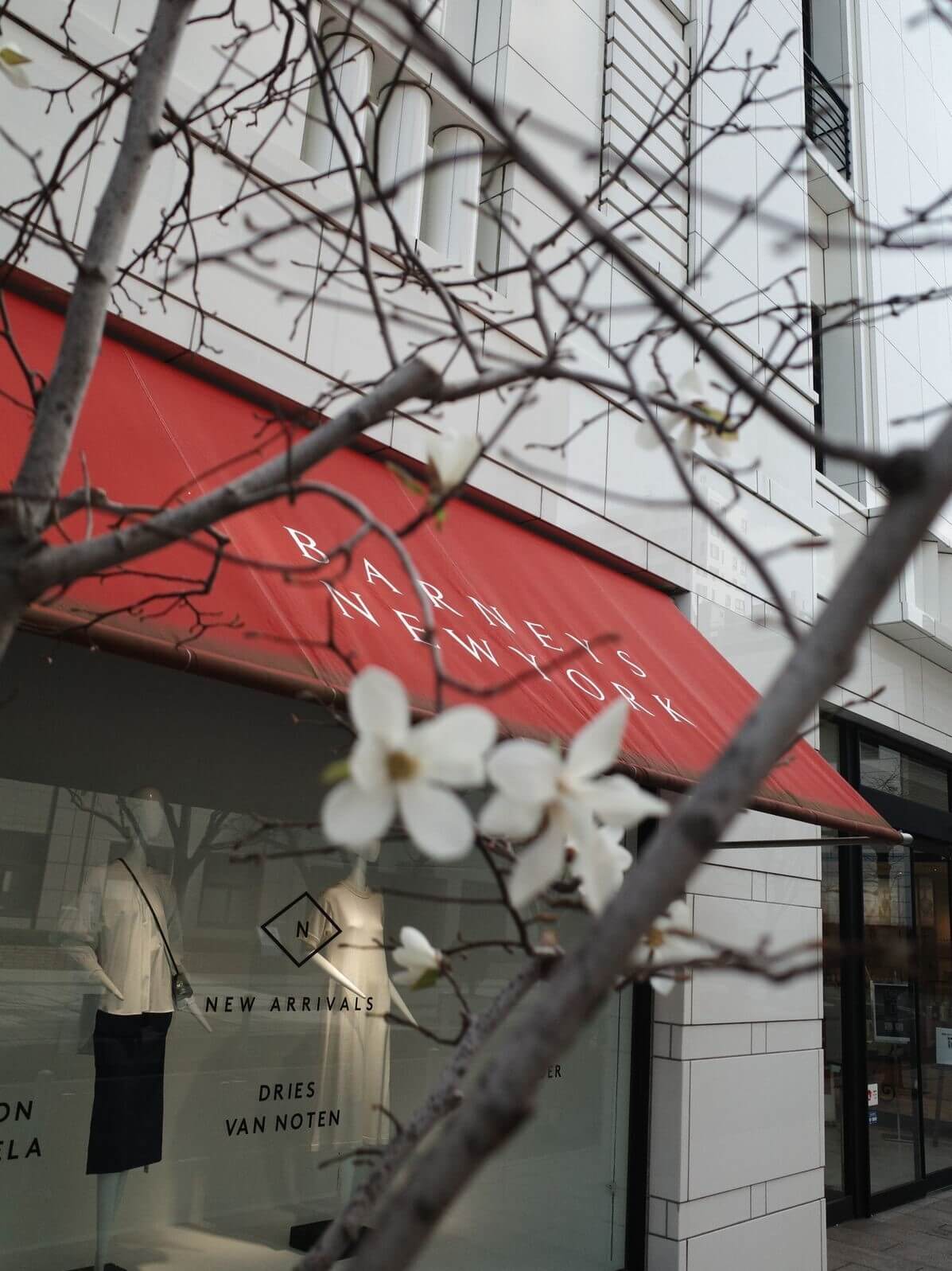  _473_https://staging.eguchi-store.jp/test02/eguchiwp/wp-content/uploads/R0005865-02.jpg